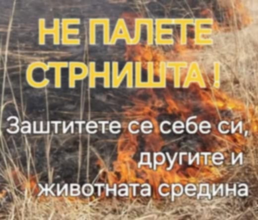 ДА ГИ ЗАШТИТИМЕ ШУМИТЕ ОД ПОЖАР